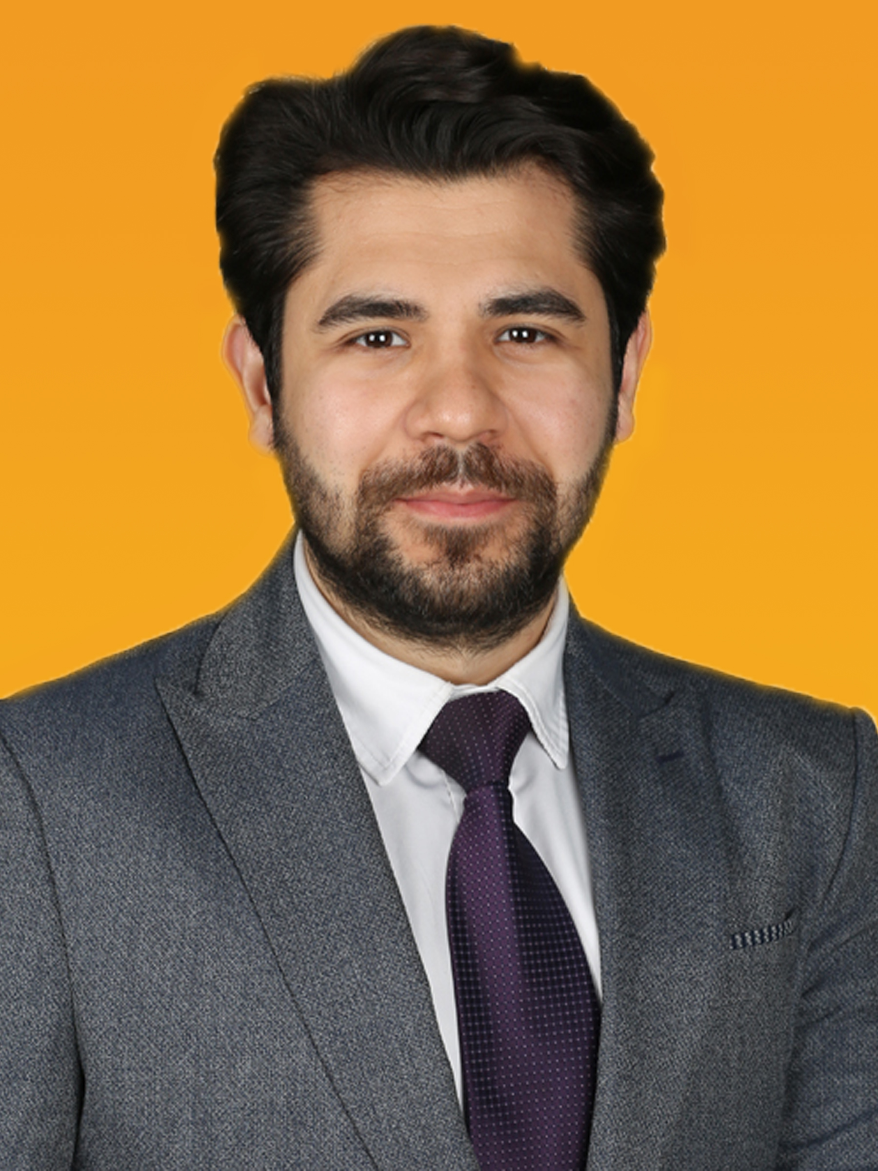 mahmut-alver