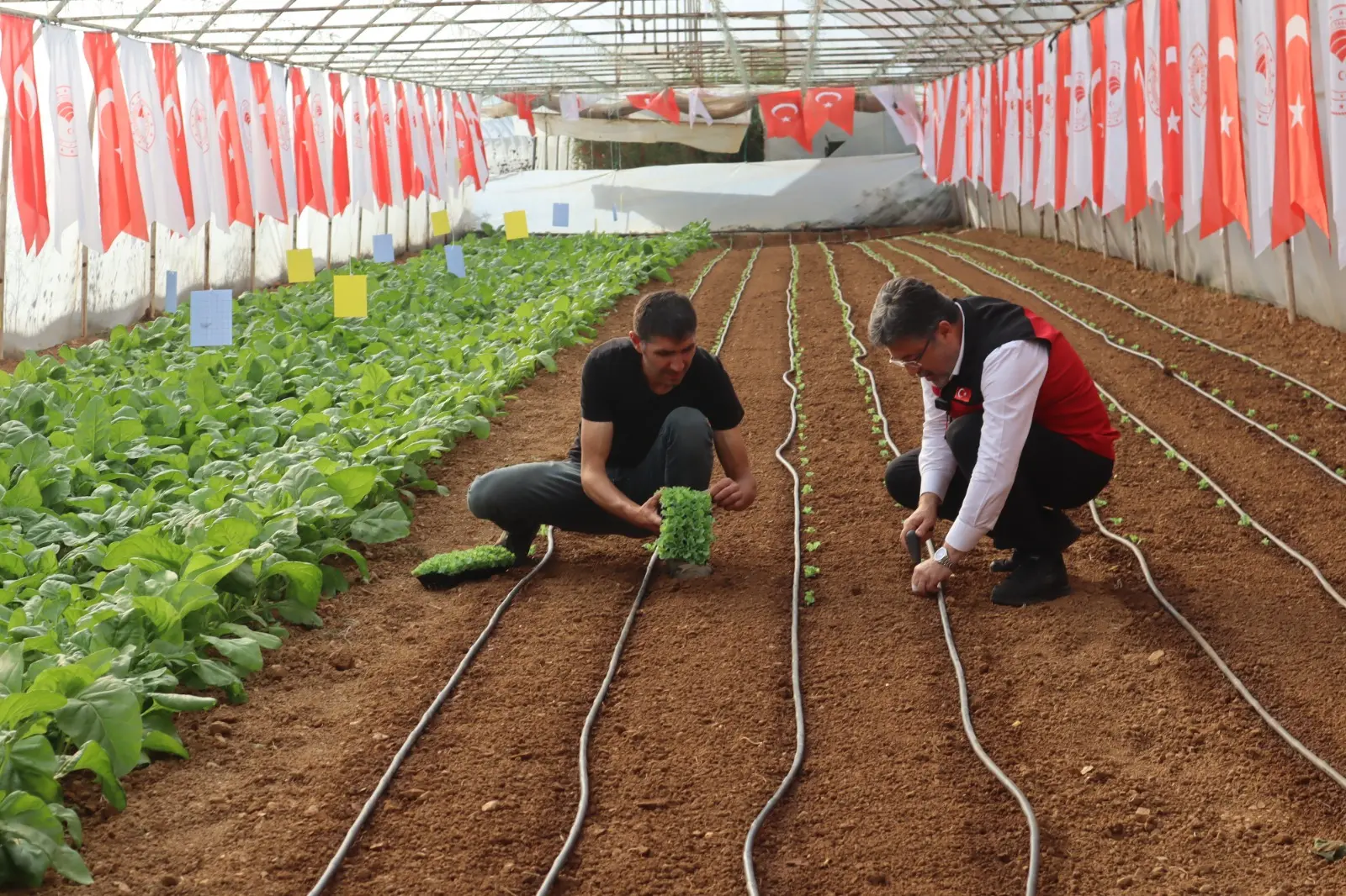 “Gıda denetimlerini “Tarım Cebimde” uygulamasından kontrol edebilirsiniz”